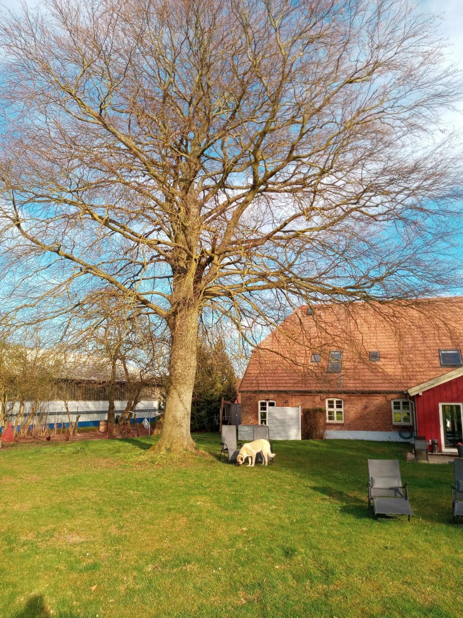 Hotelpension Pfarrhaus Alt Schwerin Zewnętrze zdjęcie